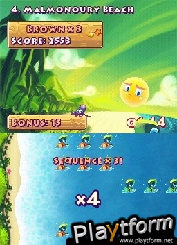 Save the Turtles (DS)