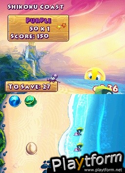 Save the Turtles (DS)