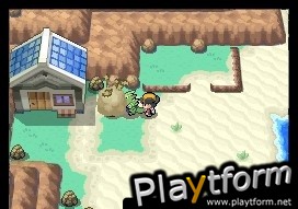 Pokemon HeartGold Version (DS)