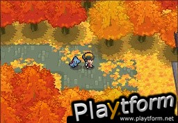 Pokemon HeartGold Version (DS)