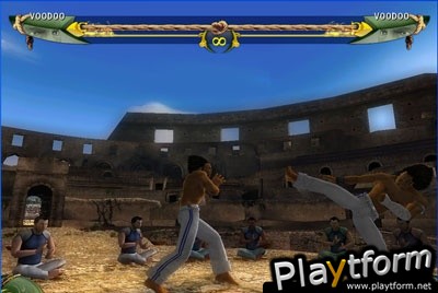 The Circle: Martial Arts Fighter (Wii)