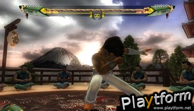 The Circle: Martial Arts Fighter (Wii)