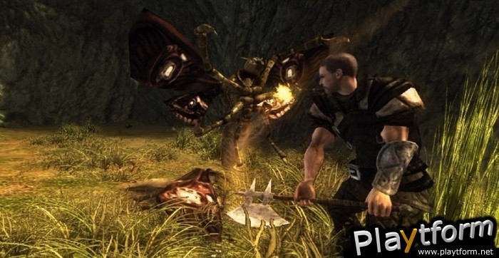 Risen (Xbox 360)