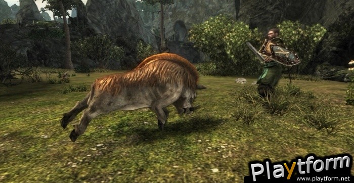 Risen (Xbox 360)
