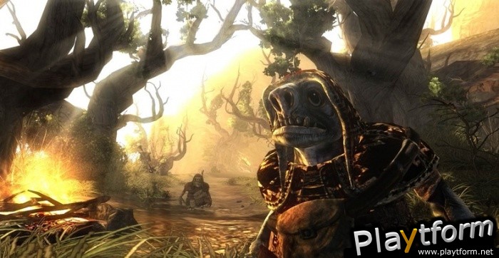 Risen (Xbox 360)