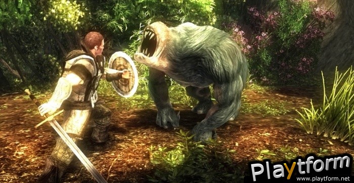 Risen (Xbox 360)