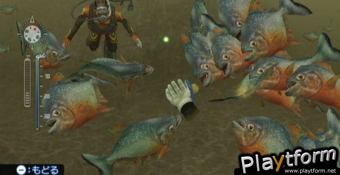 Endless Ocean Blue World (Wii)