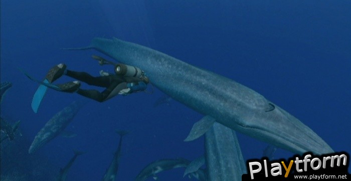Endless Ocean Blue World (Wii)