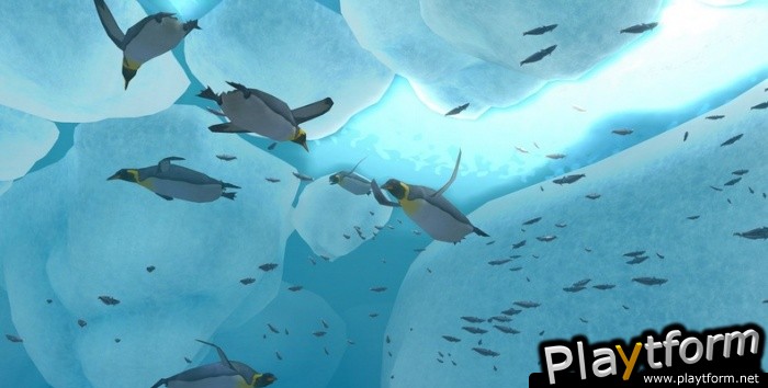 Endless Ocean Blue World (Wii)