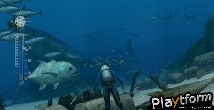 Endless Ocean Blue World (Wii)