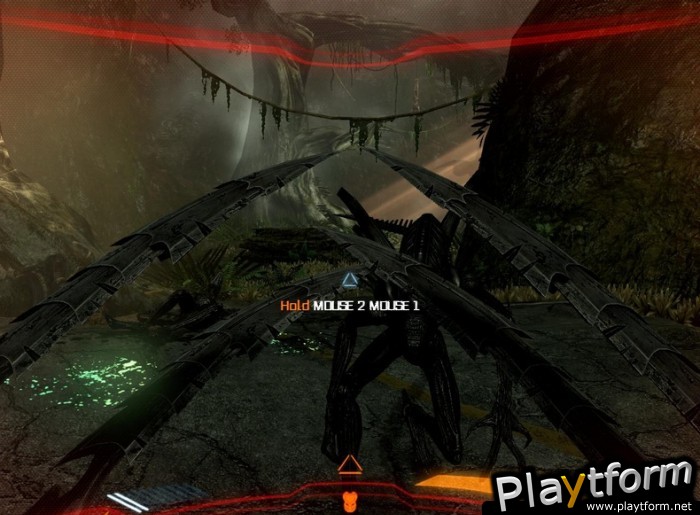 Aliens vs. Predator (PC)