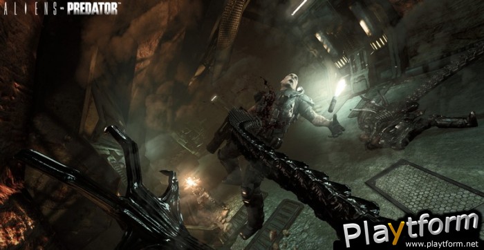 Aliens vs. Predator (Xbox 360)