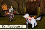 Okamiden: Chisaki Taiyou (DS)