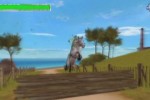 Horse Life Adventures (Wii)