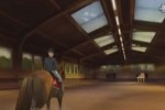 Horse Life Adventures (Wii)