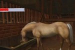 Horse Life Adventures (Wii)