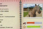 Horse Life Adventures (Wii)