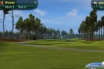 Tiger Woods PGA Tour 11 (Wii)