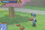 Harvest Moon: Hero of Leaf Valley (PSP)