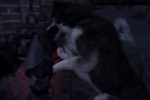 Dead to Rights: Retribution (PlayStation 3)