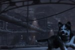 Dead to Rights: Retribution (PlayStation 3)