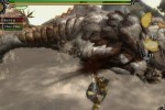 Monster Hunter Tri (Wii)