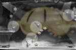 The Misadventures of P.B. Winterbottom (PC)