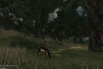 Mortal Online (PC)
