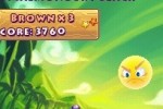 Save the Turtles (DS)