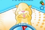 Zhu Zhu Pets (DS)