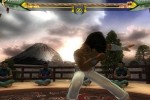 The Circle: Martial Arts Fighter (Wii)