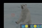 Endless Ocean Blue World (Wii)