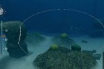Endless Ocean Blue World (Wii)