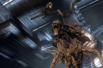 Aliens vs. Predator (PC)