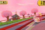 Super Monkey Ball: Step & Roll (Wii)