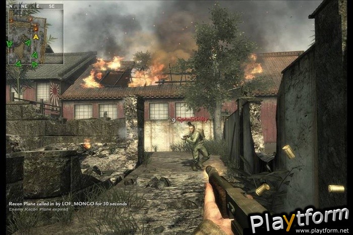 Call of Duty: World at War (PC)