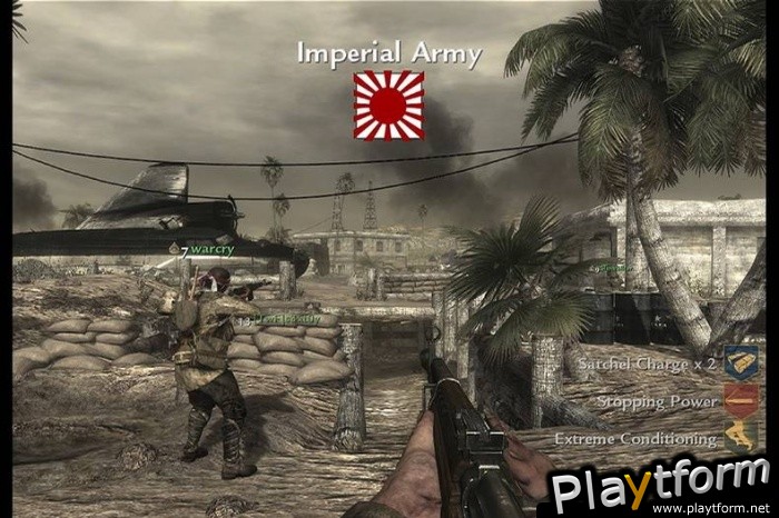 Call of Duty: World at War (PC)