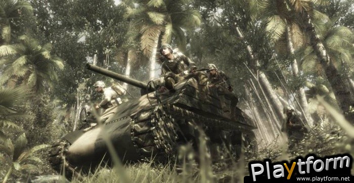 Call of Duty: World at War (PC)