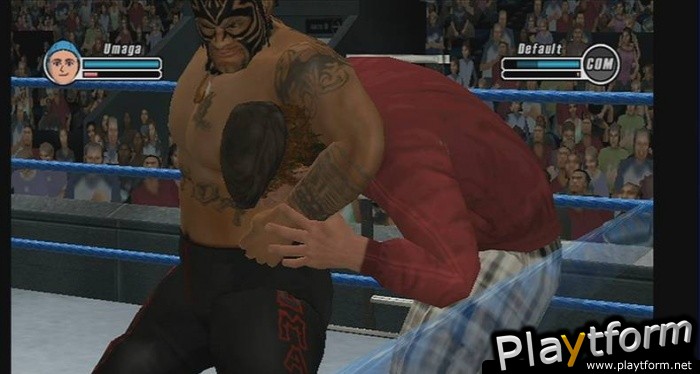 WWE SmackDown vs. Raw 2009 (Wii)