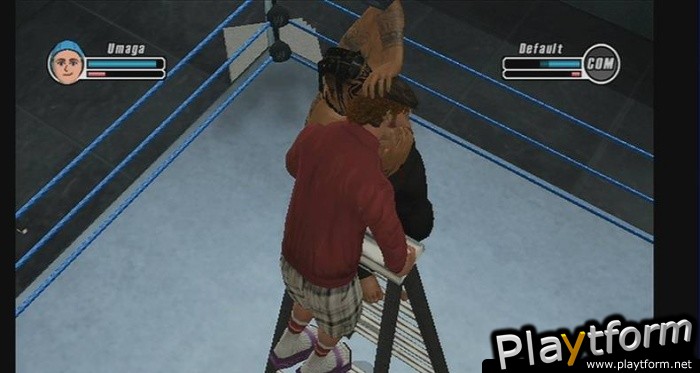 WWE SmackDown vs. Raw 2009 (Wii)