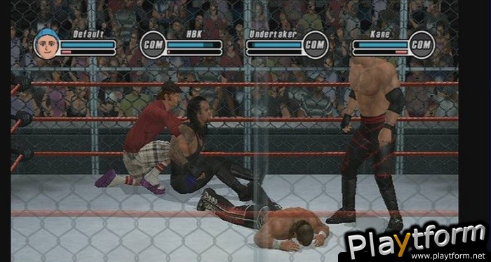 WWE SmackDown vs. Raw 2009 (Wii)