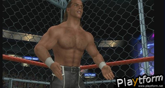 WWE SmackDown vs. Raw 2009 (Wii)