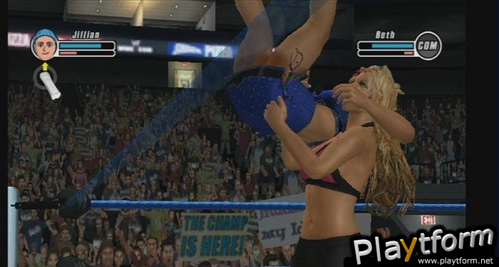 WWE SmackDown vs. Raw 2009 (Wii)