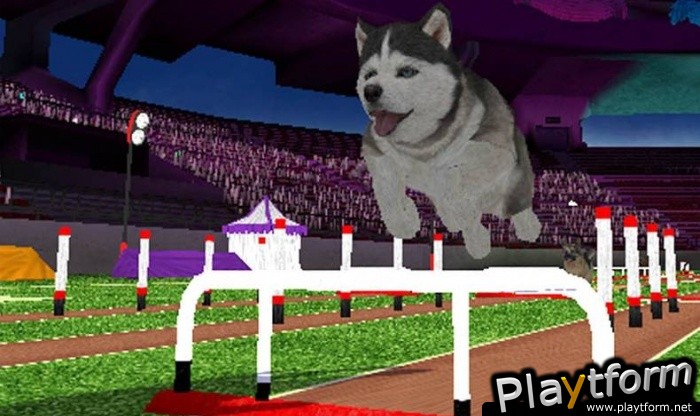 Petz Sports: Dog Playground (Wii)