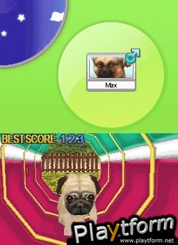 Petz Dogz Pack (DS)