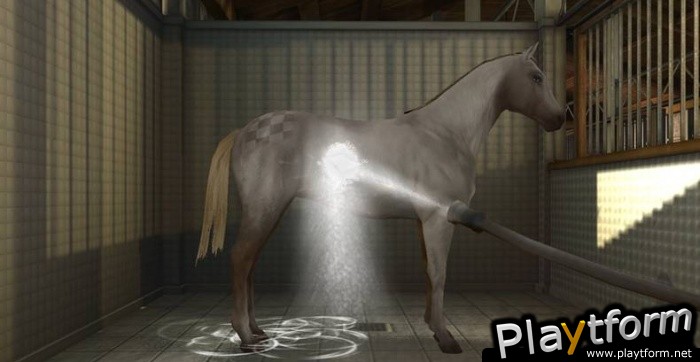 My Horse & Me 2: Riding for Gold (Xbox 360)