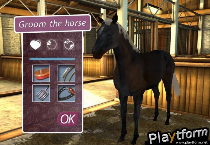 My Horse & Me 2: Riding for Gold (Xbox 360)