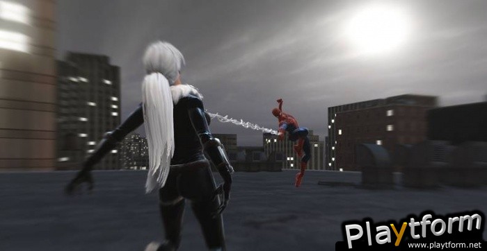 Spider-Man: Web of Shadows (PC)