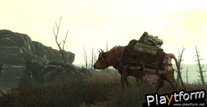 Fallout 3 (PC)