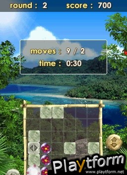 Zenses Rainforest (DS)